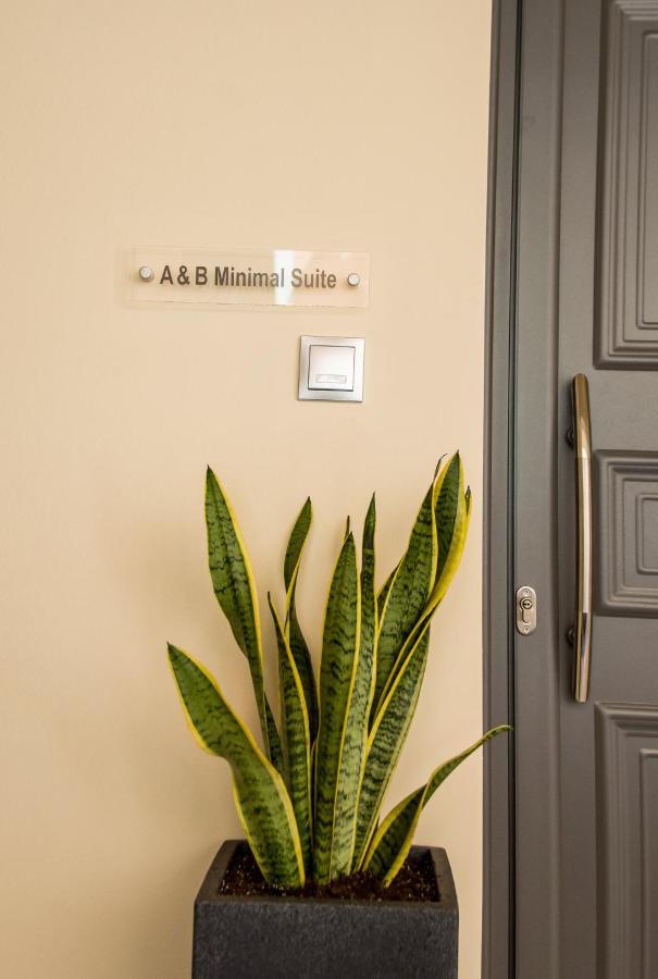 A & B Minimal Suite Ιι With Sea View In Argostoli Экстерьер фото